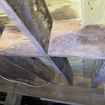 mold