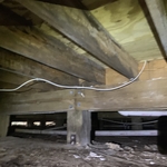 mold