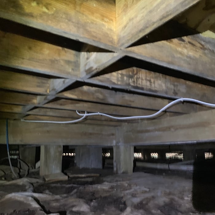 mold