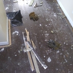 Our work