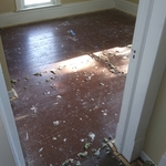 Our work