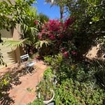 Yard clean up