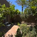 Yard clean up