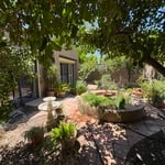 Yard clean up