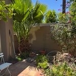 Yard clean up