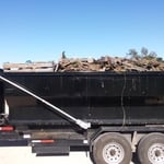 general outdoor debris north Edinburg area