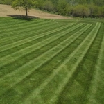 Mowing stripes