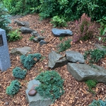 Natural scapes