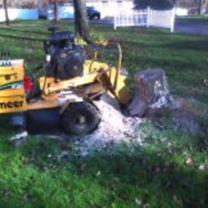 Our work