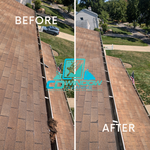 Gutter Cleaning