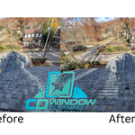 Gutter/Roof Cleaning