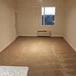 move out cleaning