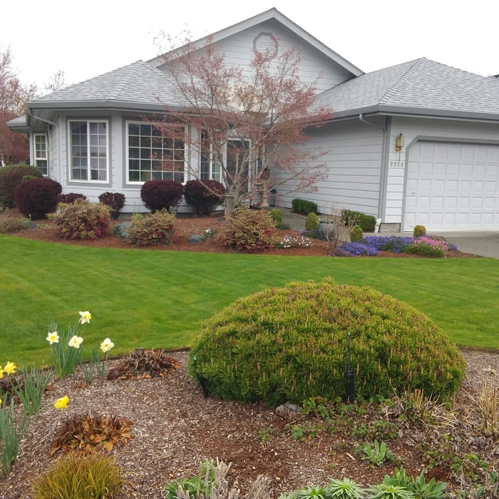 another beautiful job