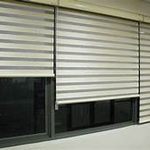 Zebra Blinds