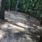 Shed gone + yard cleaned
