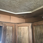Our work