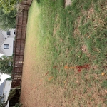 Waterline locate markings