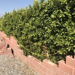 Block CMU Retaining Wall Repair