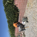 CMU Block wall repair