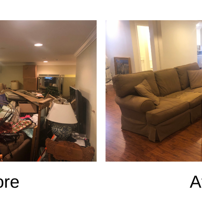 Basement Living Room