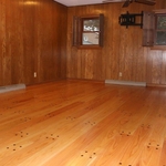 Den photo