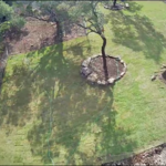 Ariel view of backyard