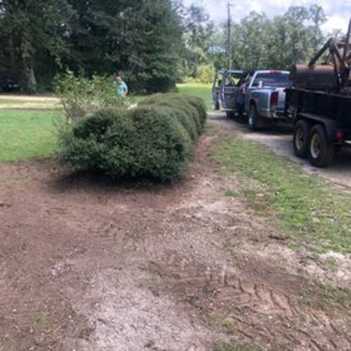 cleanups