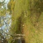 My jobs