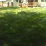 My jobs