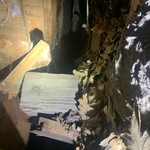Crawlspace Supports