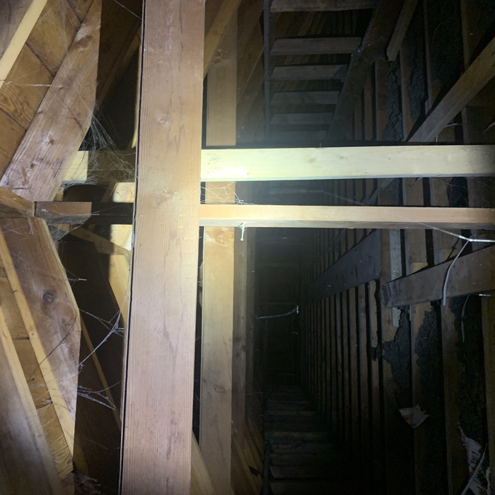 Attic Inspection