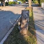 Tree removal