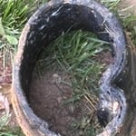 Sewer pipe repair