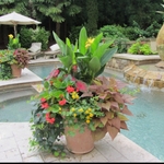 Landscape / hardscape design & installation
