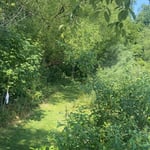 Pond Walkway