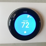 nest