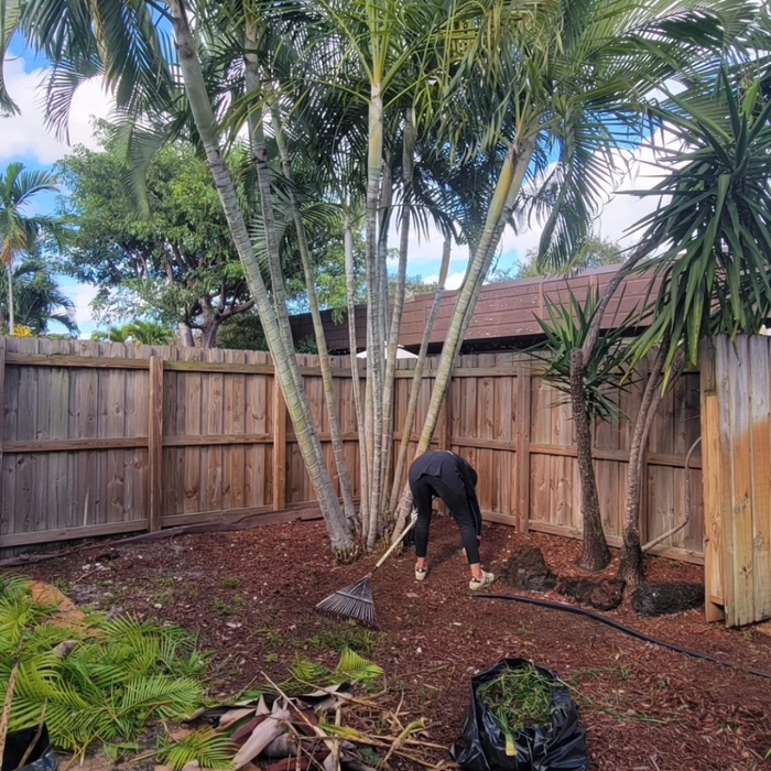 Tree Cuting down