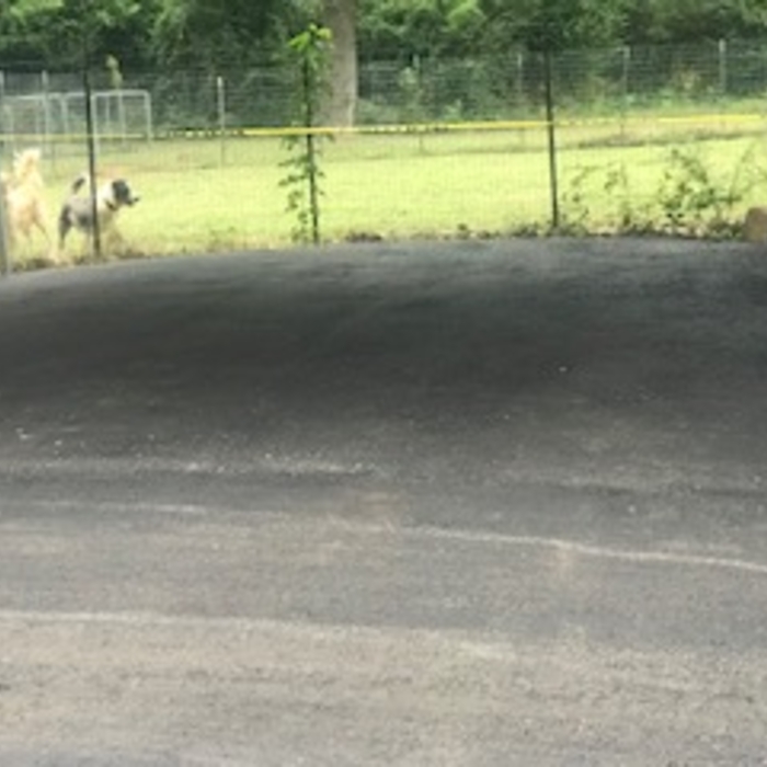 Shop Driveway Carport Area