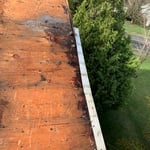 rotten plywood