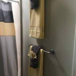 Bathroom Cleaning