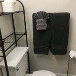 Bathroom Cleaning