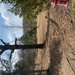 Forestry Mulching