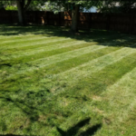 Routine Lawn Mowing