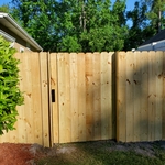 Front fence replacement