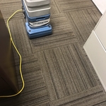 Cleaned Carpet Post Drymaster Technology