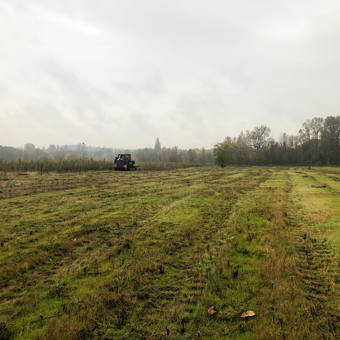 Mowing in progress