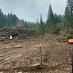 View before project start