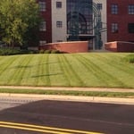 Commercial Mowing