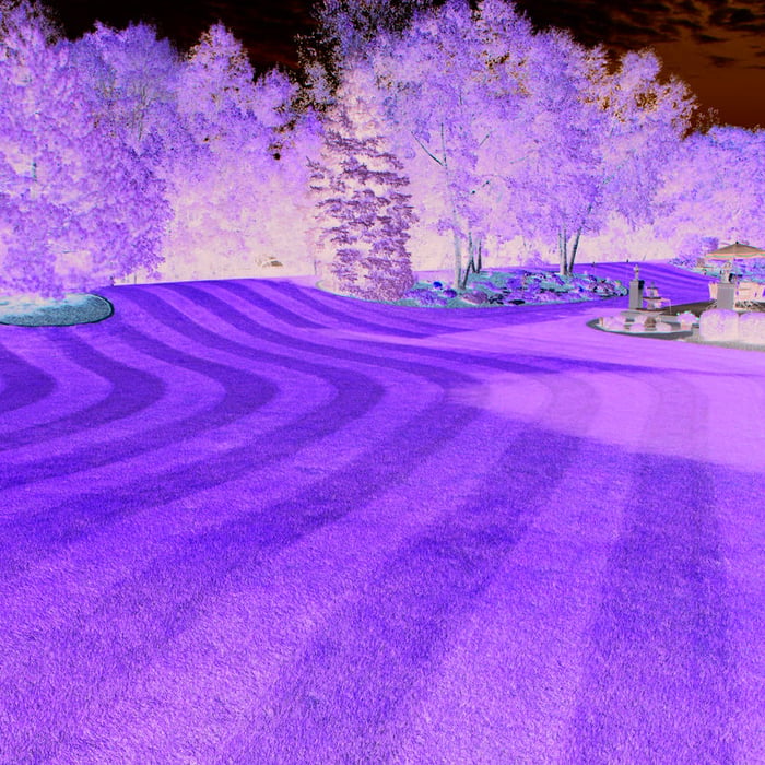 Lawn Maintenance
