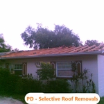 Selective Demolition Services